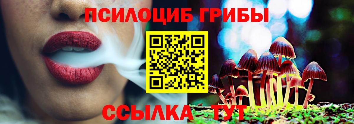 Владимир  Псилоцибиновые грибы Psilocybine cubensis  Псилоцибиновые грибы MAGIC MUSHROOMS  Вход с VPN 